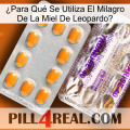 ¿Para Qué Se Utiliza El Milagro De La Miel De Leopardo new12